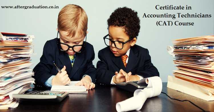 Certificate in Accounting Technicians (CAT) Course for Entry Level Accountants in India